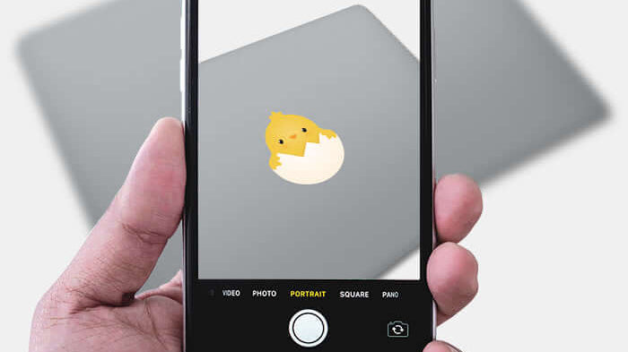 time of hatching