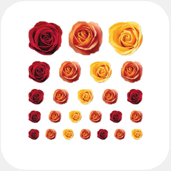 reusable webcam cover sticker sheet with multi-size assortment for laptops tablets and smartphones – Roses Set CamTag