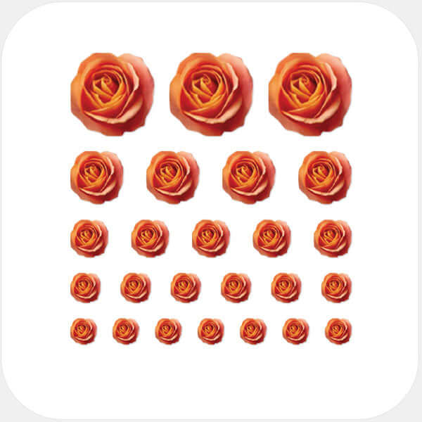 camera privacy sticker set for multiple devices with 5 sizes – orange Roses CamTag