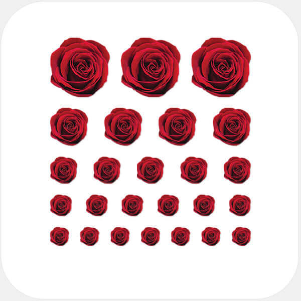 camera privacy sticker set for multiple devices with 5 sizes – red Roses CamTag
