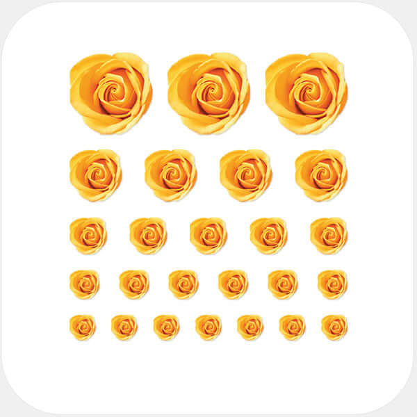 camera privacy sticker set for multiple devices with 5 sizes – yellow Roses CamTag