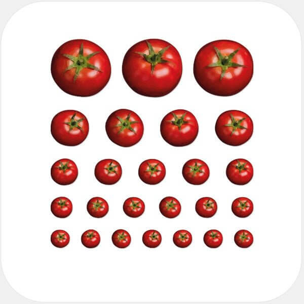 reusable webcam cover sticker sheet with multi-size assortment for laptops tablets and smartphones – Tomato CamTag
