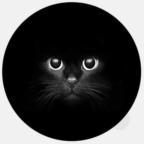 animals "black cat" reusable macbook sticker tabtag