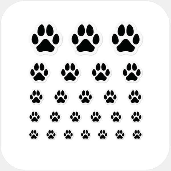 Black Dog Paw Reusable Webcam Cover set with multiple sizes for phones laptops tablets and desktops | CamTag