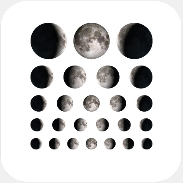 roses Set reusable privacy sticker set CamTag