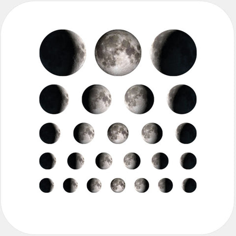 roses Set reusable privacy sticker set CamTag