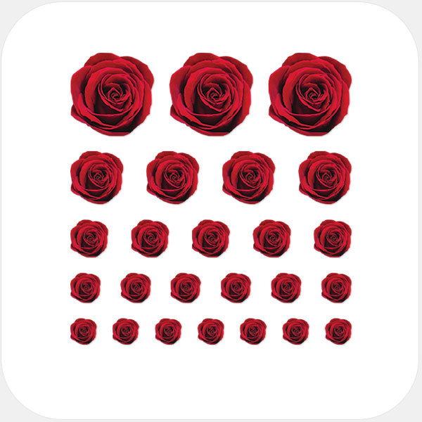 red roses reusable privacy sticker set CamTag