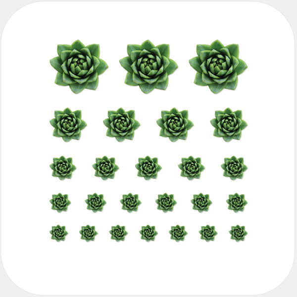 green succulent reusable privacy sticker set CamTag
