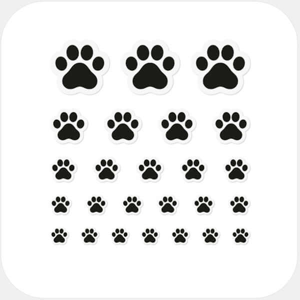 camera privacy sticker set for multiple devices with 5 sizes – black Cat Paw CamTag