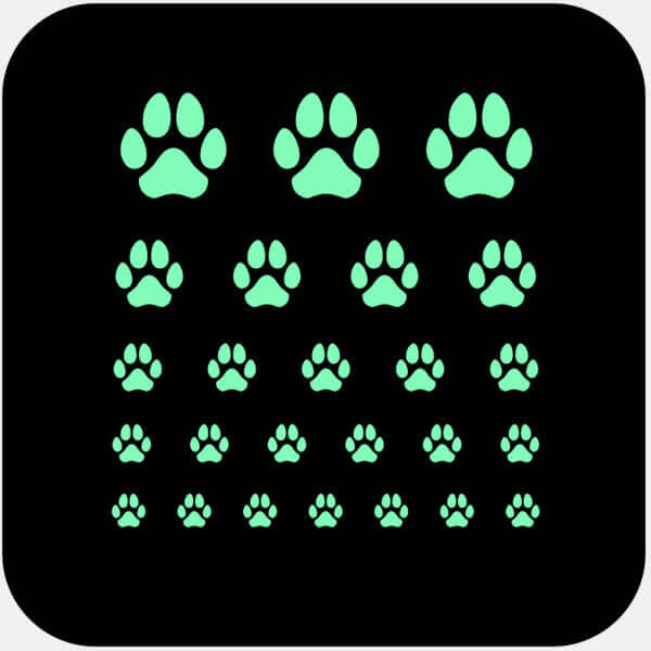 webcam privacy cover set for digital privacy with multiple sizes for laptops tablets and smartphones – luminescent night Dog Paw CamTag