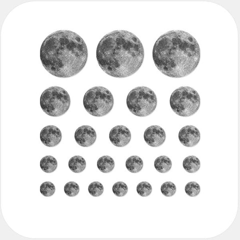 silver "full moon" reusable privacy sticker set CamTag