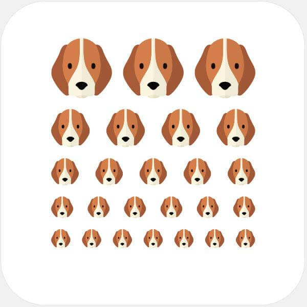 reusable camera privacy sticker set with multiple sizes for laptops tablets and smartphones – Beagle CamTag