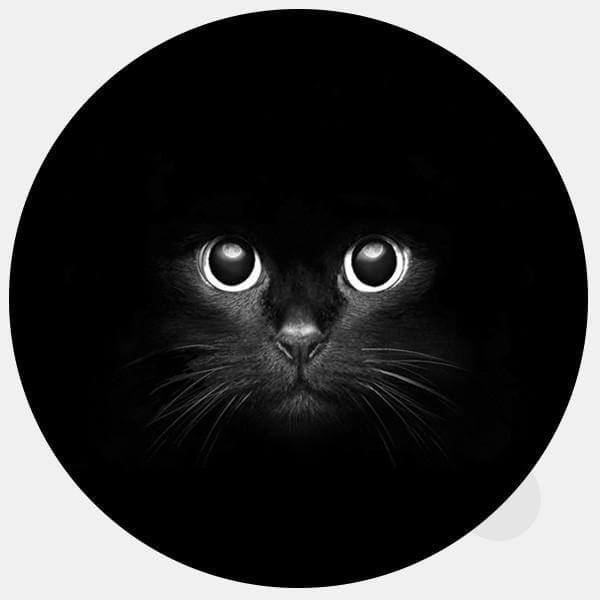 black cat reusable macbook sticker tabtag