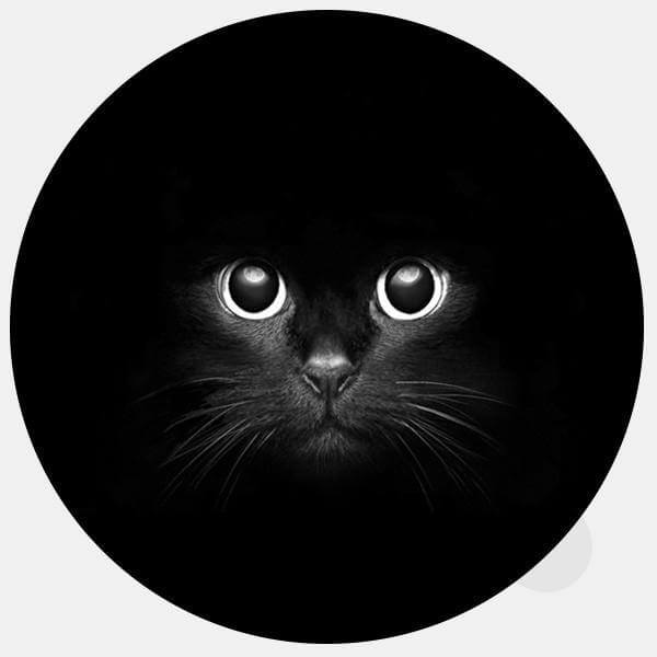 animals "black cat" reusable macbook sticker tabtag