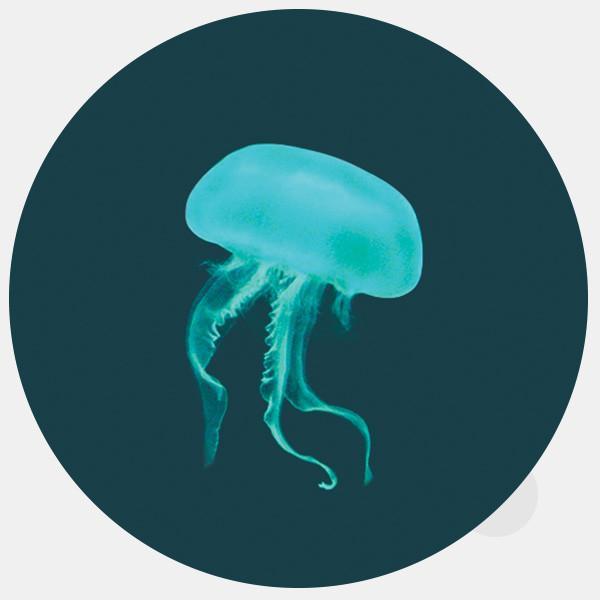 jellyfish reusable macbook sticker tabtag