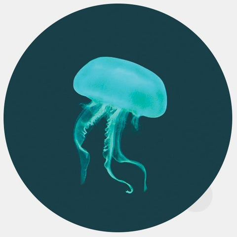 animals "jellyfish" reusable macbook sticker tabtag