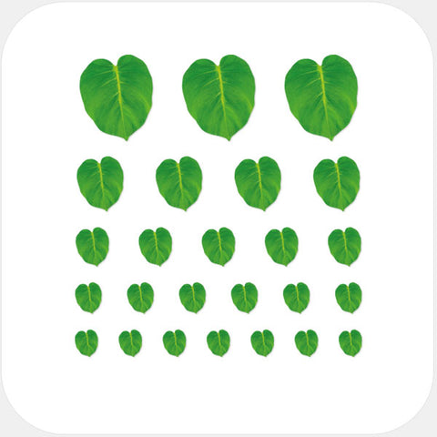 colorful "leaf" reusable privacy sticker set CamTag