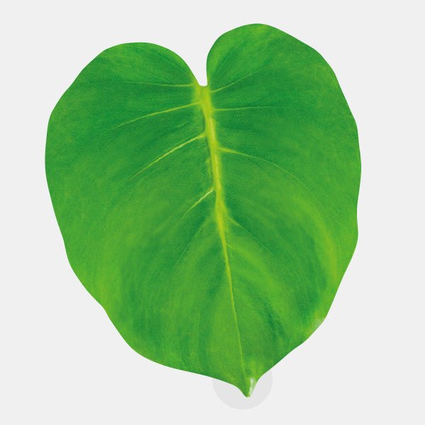 leaf reusable macbook sticker tabtag