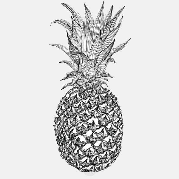 food "pineapple" tabtag reusable macbook sticker tabtag