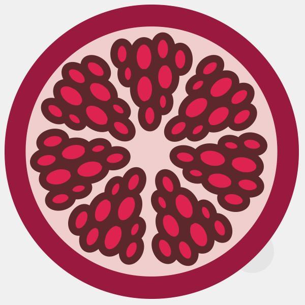 pomegranate tabtag reusable macbook sticker tabtag 