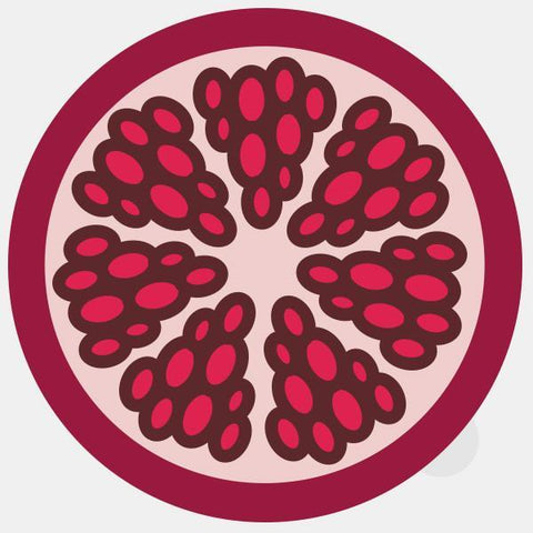 food "pomegranate" tabtag reusable macbook sticker tabtag on sale