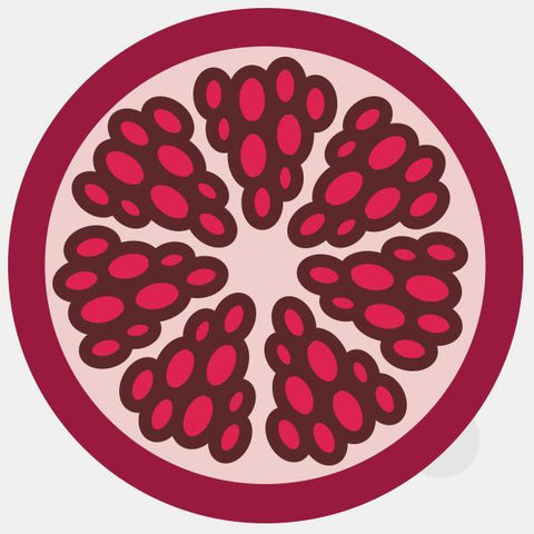 food "pomegranate" tabtag reusable macbook sticker tabtag